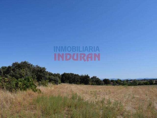 Chalet en venta en Peraleda de la Mata photo 0