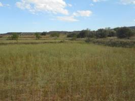 Chalet en venta en Tarazona, Romadera photo 0