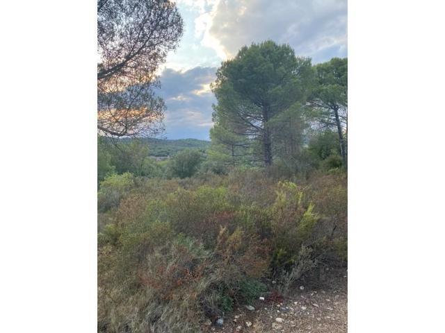 Terreno en venta en La Bisbal d'Empordà photo 0