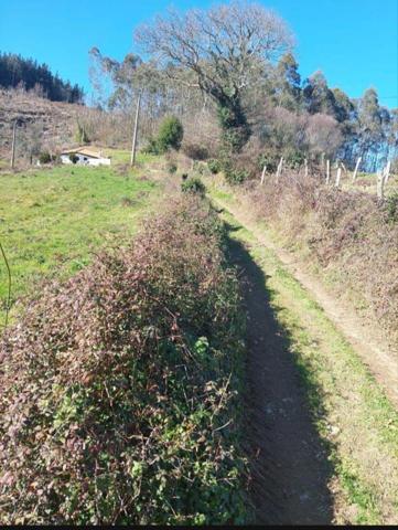 Terreno en venta en Pravia, La Barraca photo 0