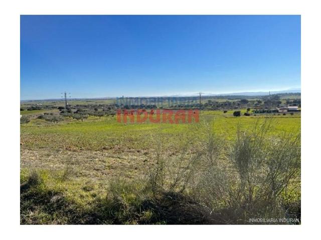 Chalet en venta en Peraleda de la Mata photo 0