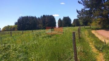 Terreno en venta en Lugo, Nadela photo 0