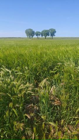 Terreno en venta en Chinchón, Chinchón photo 0