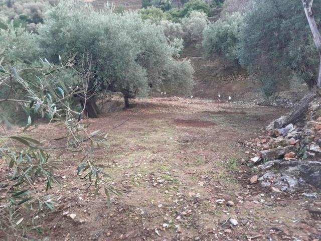Terreno en venta en Canillas de Albaida photo 0
