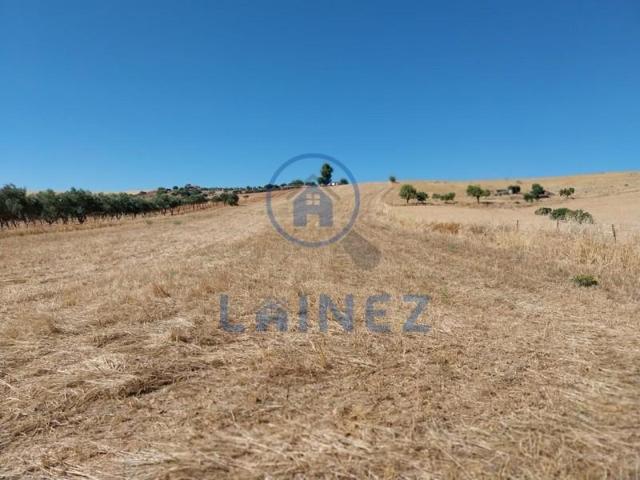 Terreno en venta en Fuente Obejuna, Fuente Obejuna photo 0