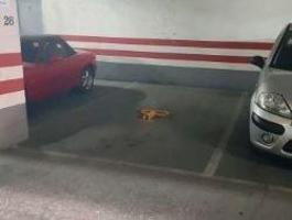 Garaje en venta en Córdoba, Av. del Aeropuerto photo 0