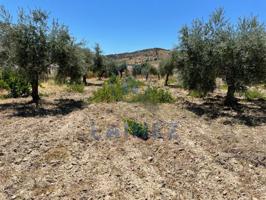 Terreno en venta en El Hoyo, Belmez, El Hoyo photo 0