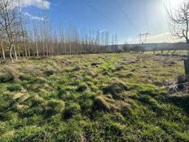 Terreno en venta en Ponferrada, Dehesas photo 0