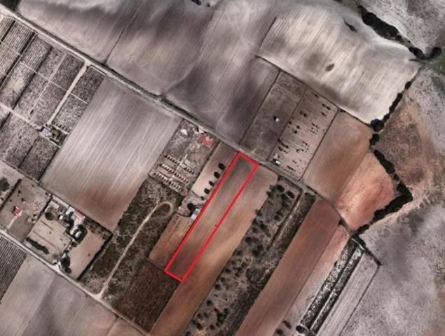 Terreno en venta en Chiclana de la Frontera, Los Llanos de San Vicente photo 0