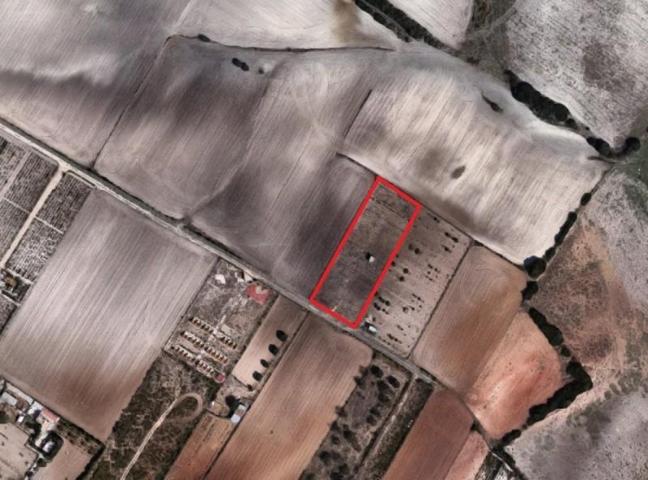 Terreno en venta en Chiclana de la Frontera, Los Llanos de San Vicente photo 0