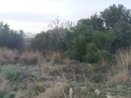 Terreno en venta en Sant Joan de Moró, La Plana Alta - Sant Joan de Moró photo 0