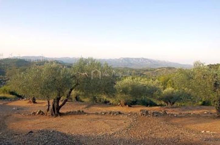 Terreno en venta en el Perelló, Comes, 43519 photo 0