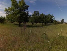 Terreno en venta en Carracedelo, Carracedelo photo 0