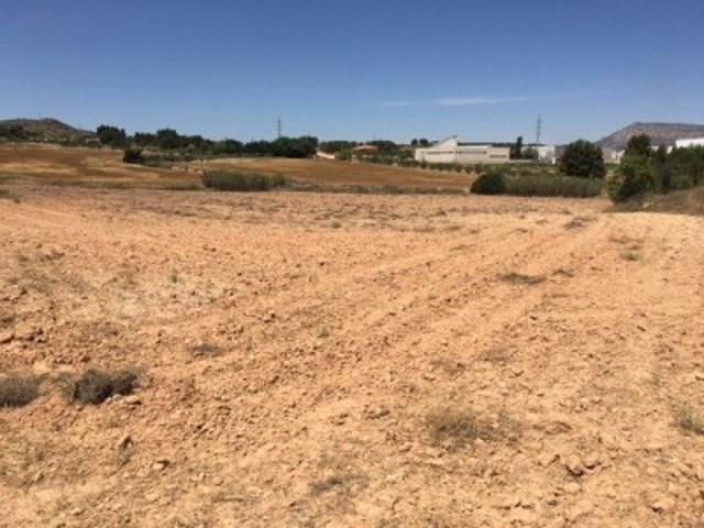 Terreno en venta en Almansa, Paraje San José photo 0