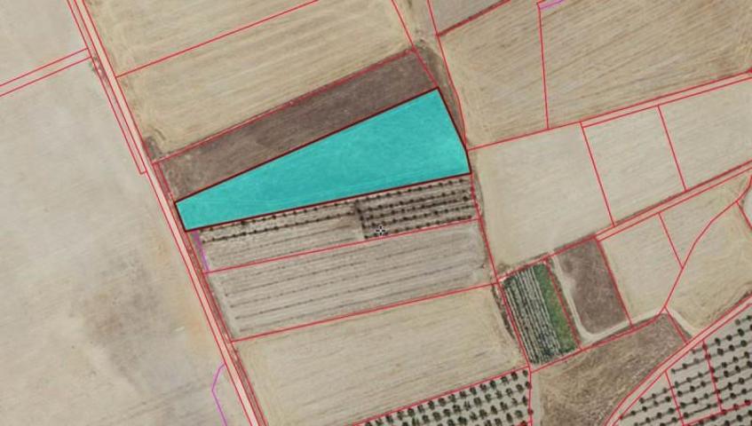 Chalet en venta en Argamasilla de Alba, Argamasilla De Alba photo 0