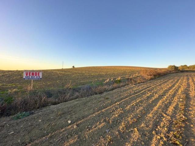 Terreno en venta en Las Cabezas de San Juan, ZONA CERRO BENACAZON photo 0