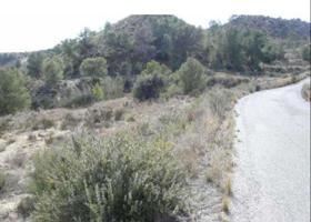 Terreno en venta en Molina de Segura, Molina de segura photo 0