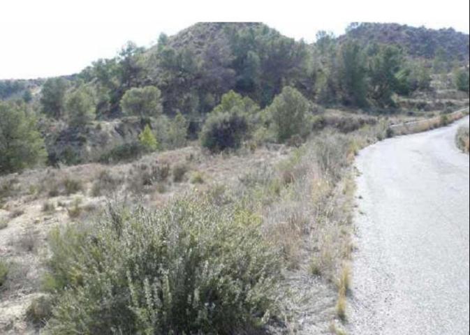 Terreno en venta en Molina de Segura, Molina de segura photo 0