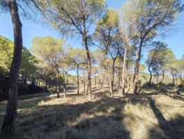 Terreno en venta en Villalgordo del Júcar, Villalgordo del Júcar photo 0