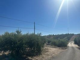 Terreno en venta en Arboleas photo 0