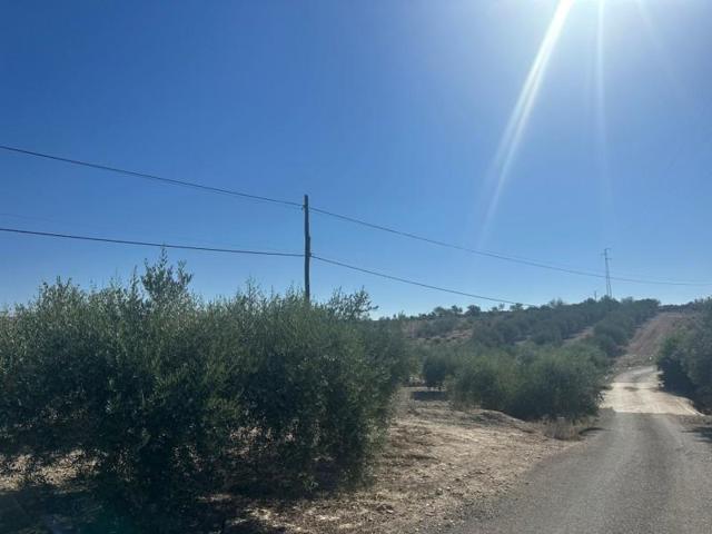 Terreno en venta en Arboleas photo 0