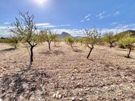 Terreno en venta en Orihuela, Barbarroja photo 0