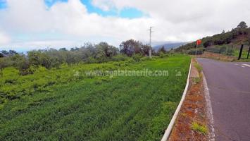 Terreno en venta en Icod de los Vinos, Tenerife North photo 0
