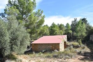 Chalet en venta en Torre del Compte, La fresneda photo 0