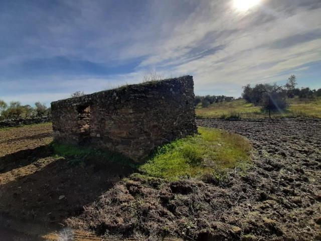 Terreno en venta en Botija, Tipo Finca: photo 0