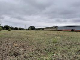 Terreno en venta en Botija, Carretera torremocha photo 0