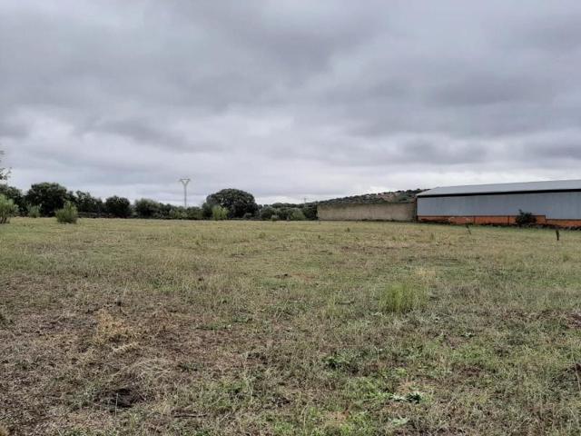 Terreno en venta en Botija, Carretera torremocha photo 0