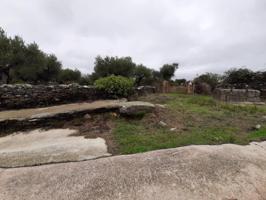 Terreno en venta en Botija, Tipo Finca: photo 0