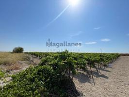 Terreno en venta en Sanlúcar de Barrameda, Avda Marina photo 0