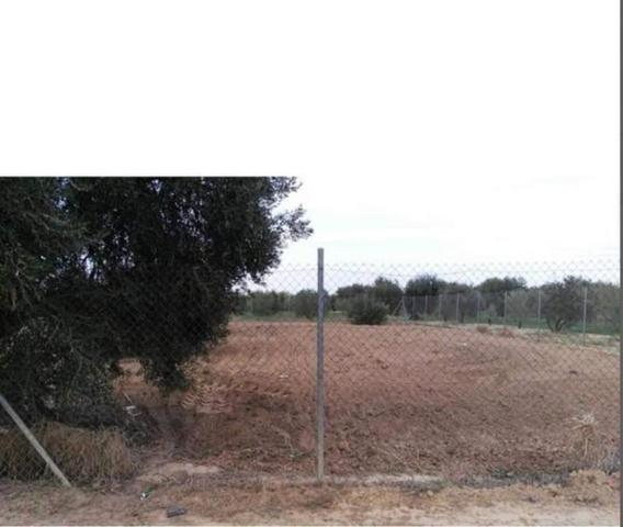 Terreno en venta en Marchena, Venta Los Pinos photo 0