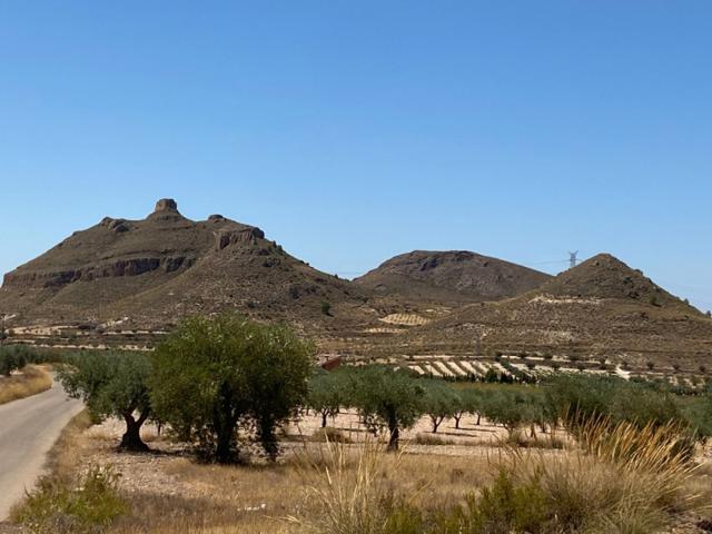 Terreno en venta en Jumilla, Jumilla photo 0
