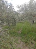 Casa con terreno en venta en Alsodux, Alsodux photo 0