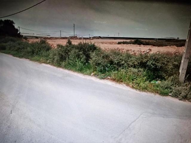 Terreno en venta en El Ejido, Almerimar photo 0