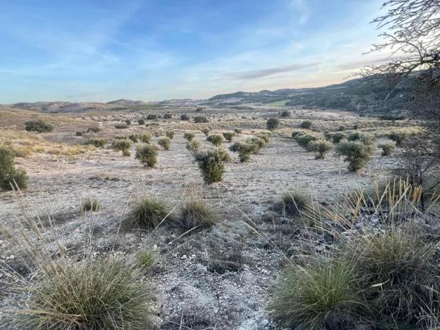 Terreno en venta en Carabaña photo 0