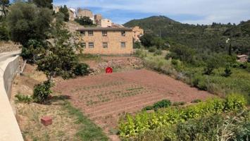 Terreno en venta en Alfara de Carles, Cataluna photo 0