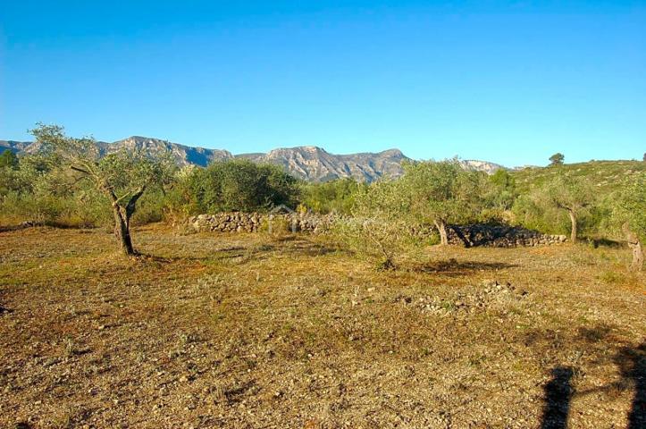 Terreno en venta en el Perelló, Partida del Burgà, 43519 photo 0