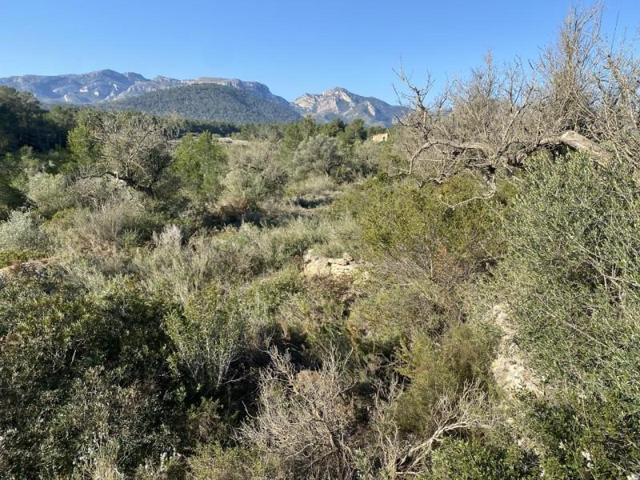 Terreno en venta en Rasquera, Gabachons, 43513 photo 0