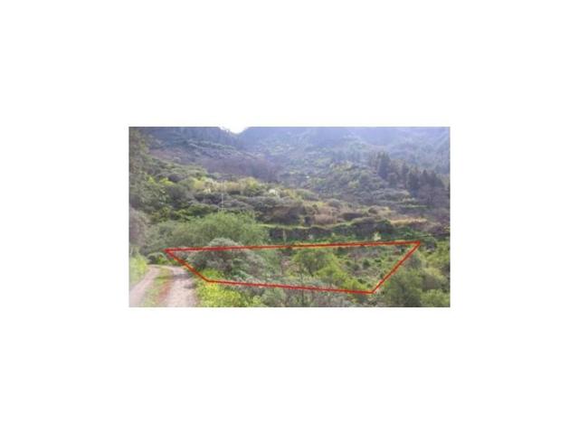 Terreno en venta en Vega de San Mateo photo 0