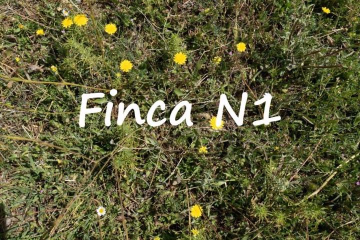 Terreno en venta en Carataunas, Alpujarra photo 0