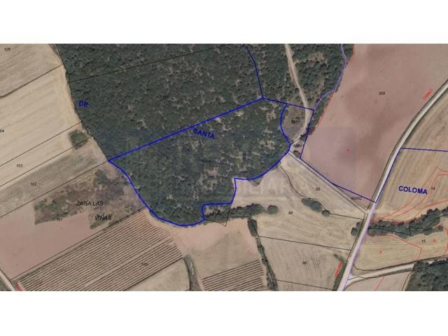 Terreno en venta en Santa Coloma photo 0