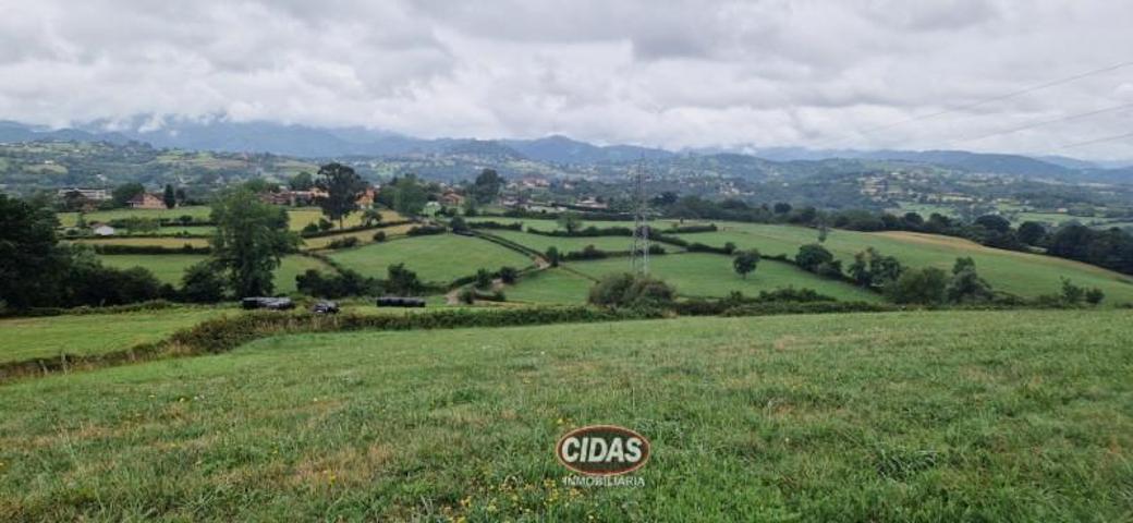 Terreno en venta en Oviedo, Oviedo photo 0