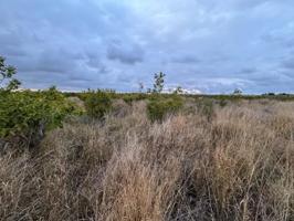 Terreno en venta en Alginet photo 0