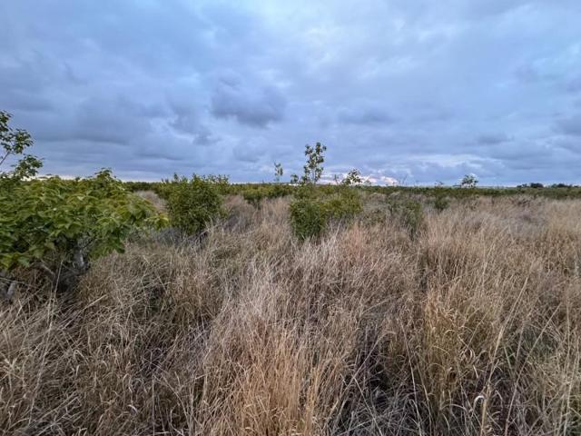 Terreno en venta en Alginet photo 0