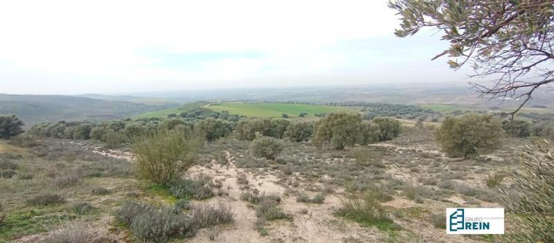 Terreno en venta en Lominchar, LOMINCHAR photo 0