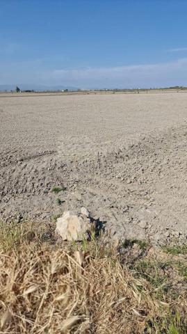 Terreno en venta en Amposta, Amposta photo 0