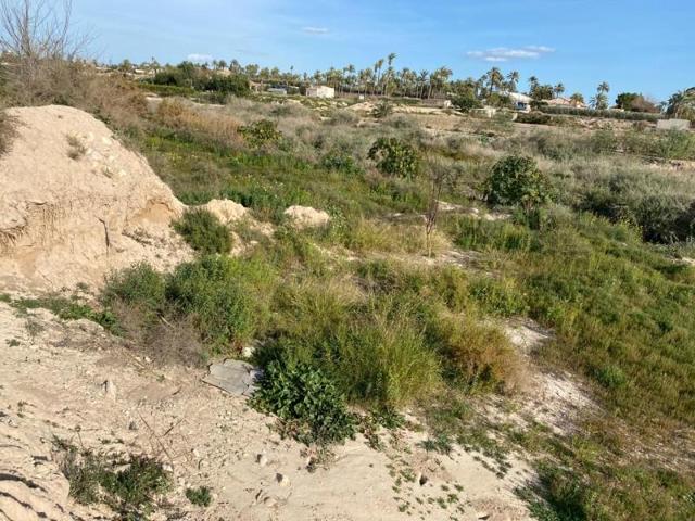 Terreno en venta en Elche, Algoros photo 0